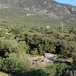 Mi Apartament *