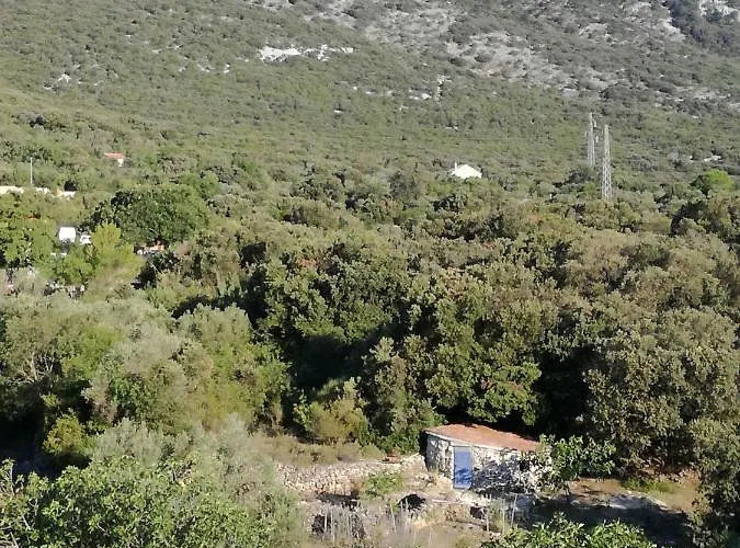 Mi Апартаменты *